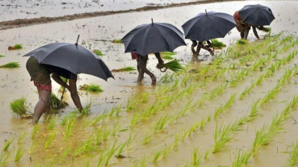 monsoon safety